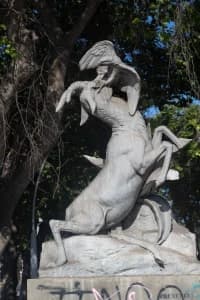 Photographs of eagle and goat sculpture
