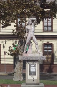 Imagen de galería 5