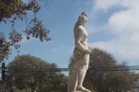 Imagen de galería 5